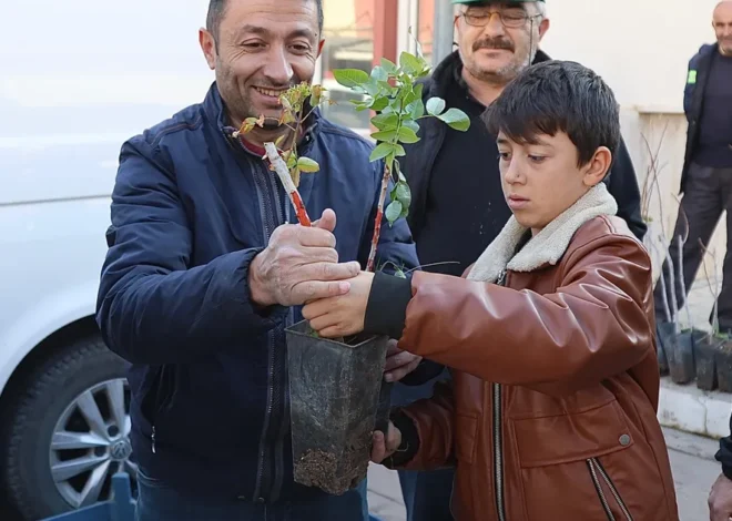 Konya’nın 3 ilçesinde üreticiye Antep Fıstığı desteği